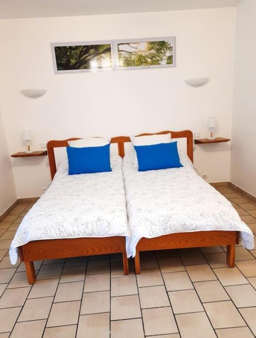 Apartament Les Albizias 5 Eugenie-les-Bains Zewnętrze zdjęcie